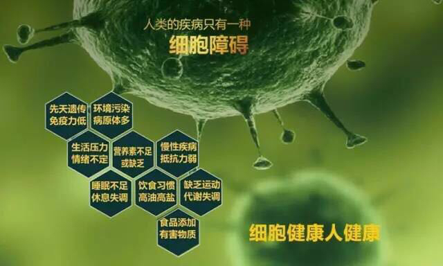 细胞.jpg